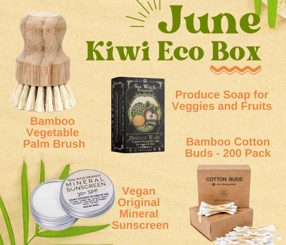 June kiwi eco box