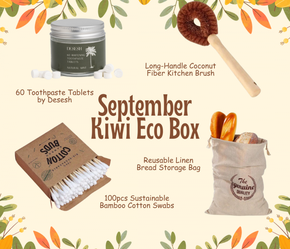 September kiwi eco box